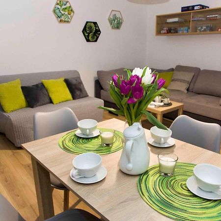 Apartament Grapa Żywiec Екстериор снимка