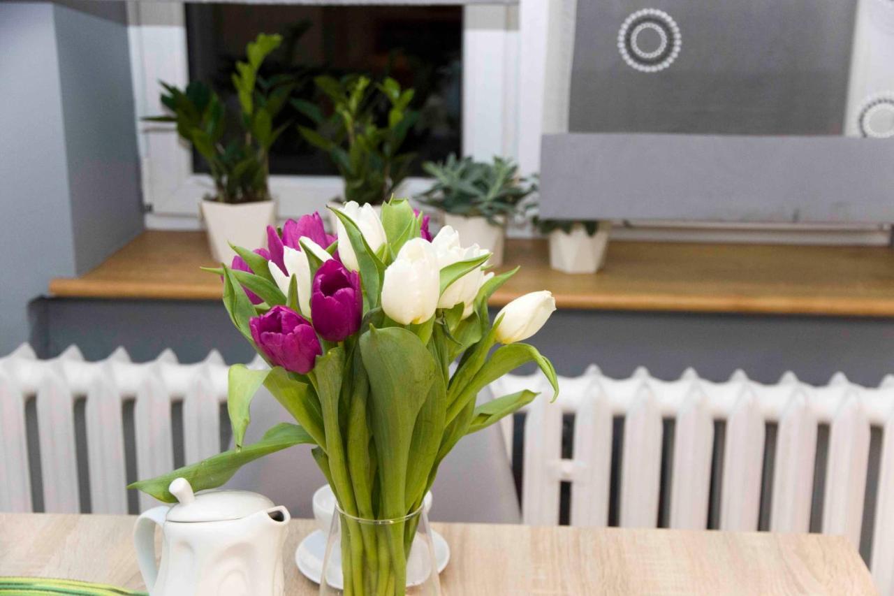 Apartament Grapa Żywiec Екстериор снимка